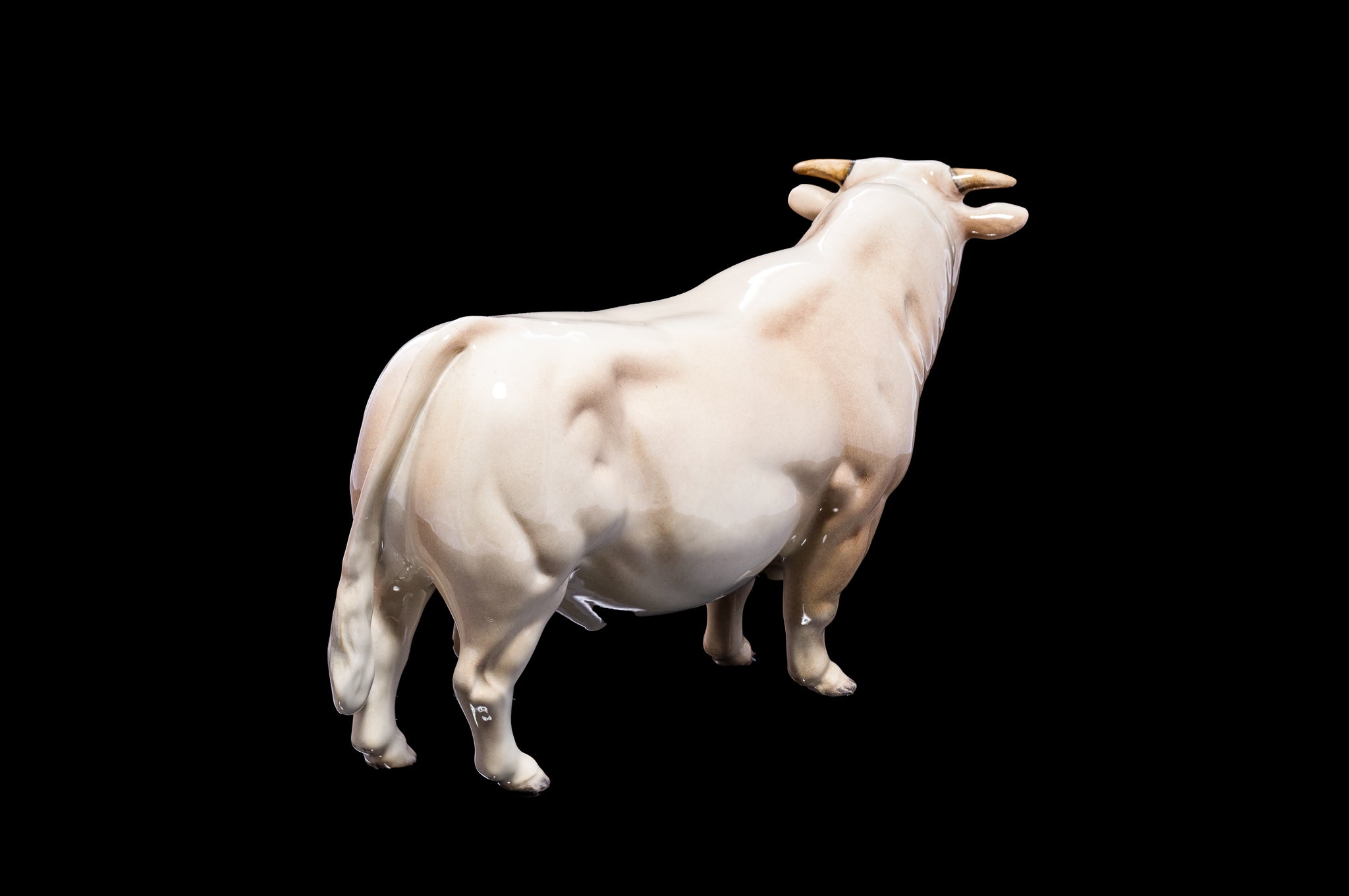 Beswick "Charolai Bull.   SOLD