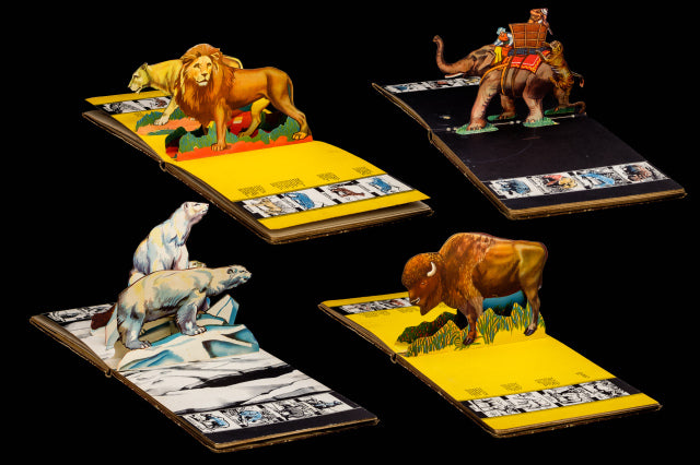 Bookano Zoo by Giraud S. Louis