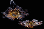 Mid Century Murano Art Glass Bowl/Dish