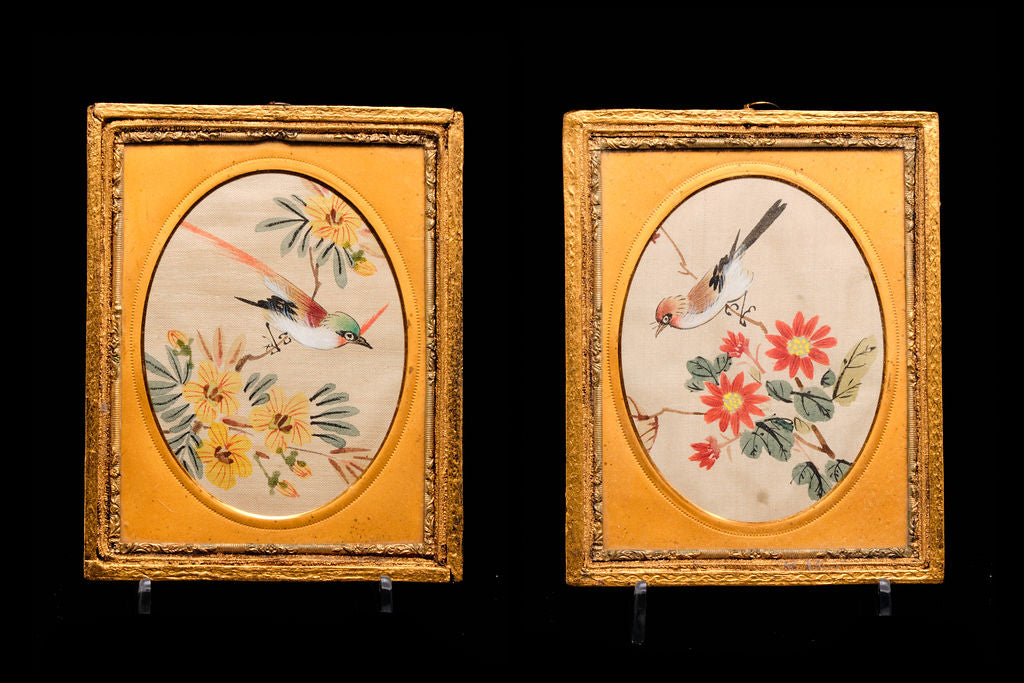 Victorian Bird Paintings in Gilt Frames.   SOLD