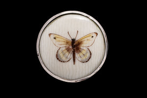 Edwardian Handpainted Butterfly Brooch.