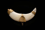 Victorian Gold Mounted Tooth.